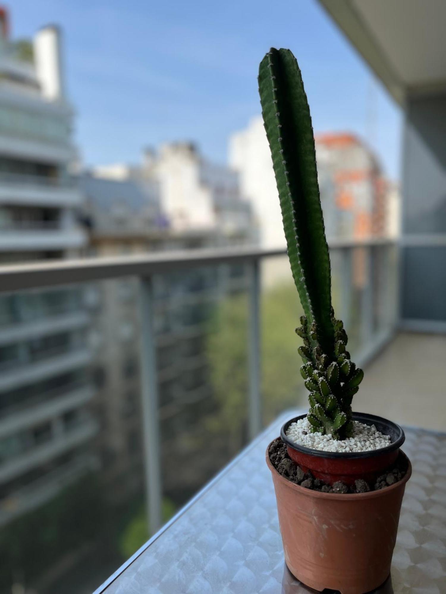 Appartement Departamento Recoleta Iii *